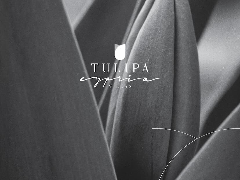 Catalog Cover